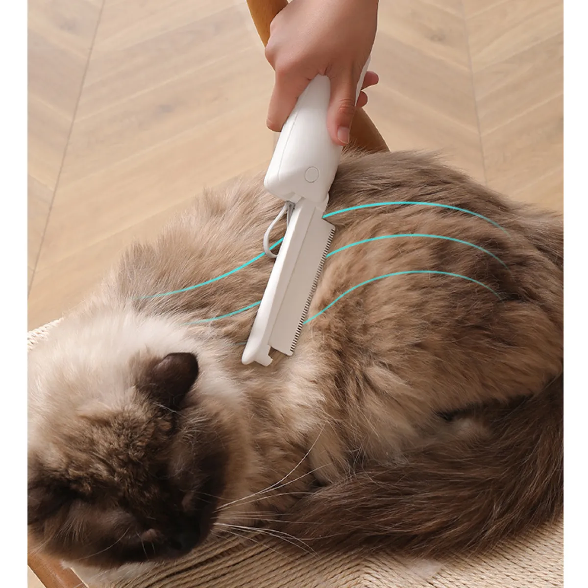 Pet Groomer Hair Removal Brush