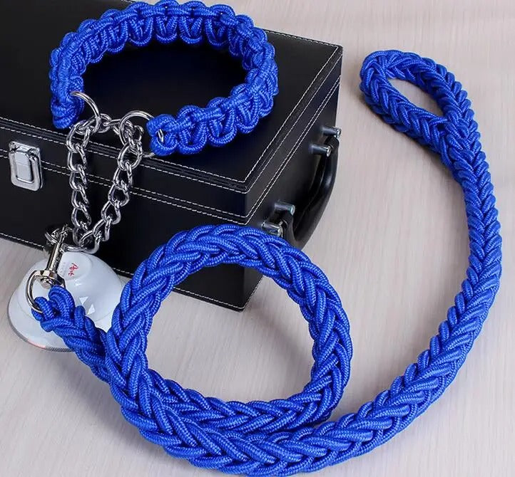 Durable Wire Collar & Lead for Large Dogs