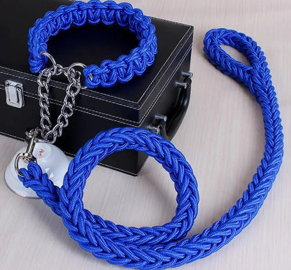 Durable Wire Collar & Lead for Large Dogs