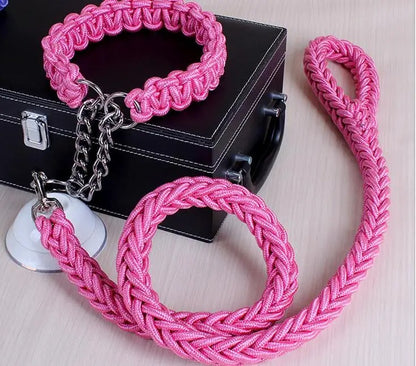 Durable Wire Collar & Lead for Large Dogs