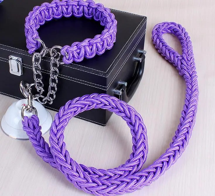Durable Wire Collar & Lead for Large Dogs