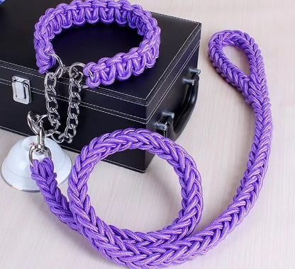 Durable Wire Collar & Lead for Large Dogs