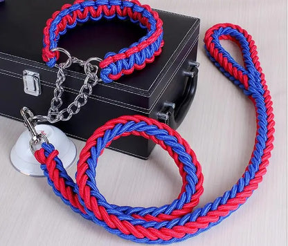 Durable Wire Collar & Lead for Large Dogs