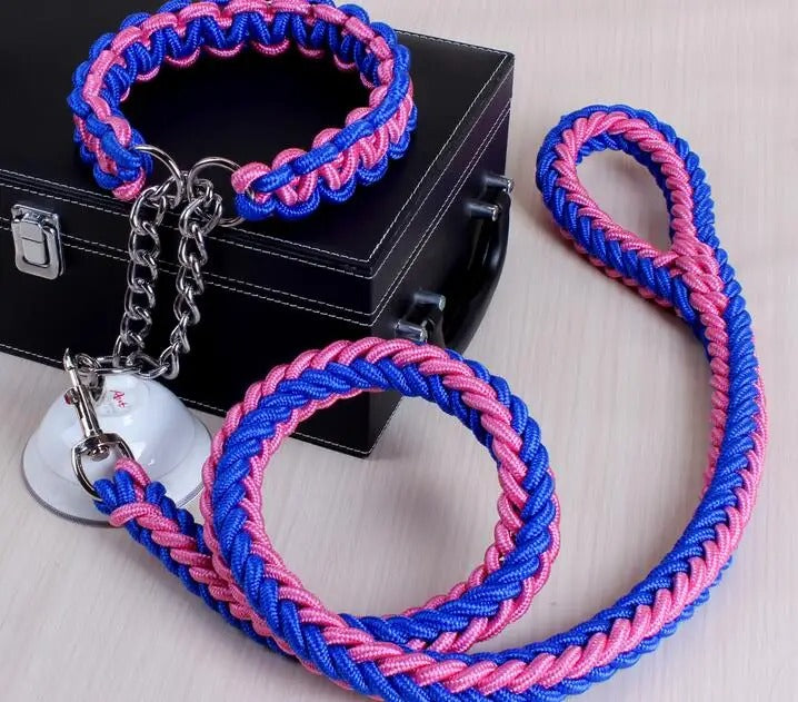 Durable Wire Collar & Lead for Large Dogs
