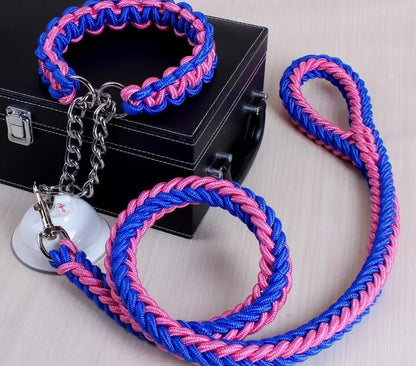 Durable Wire Collar & Lead for Large Dogs