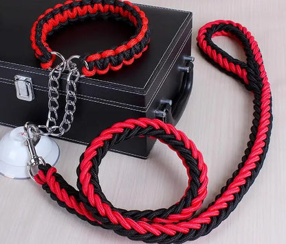 Durable Wire Collar & Lead for Large Dogs