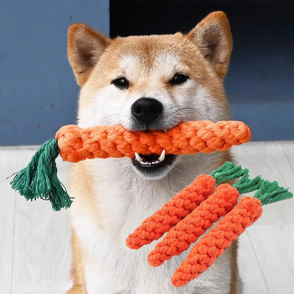 Carrot Rope Dog Chew Toy