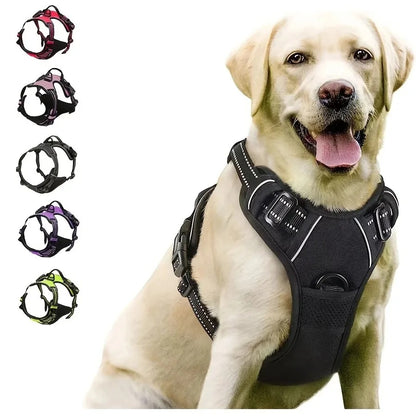 Leather Collars & Leashes for Dogs