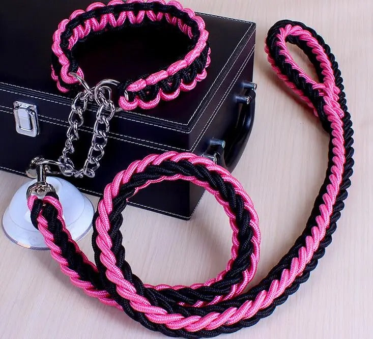 Durable Wire Collar & Lead for Large Dogs