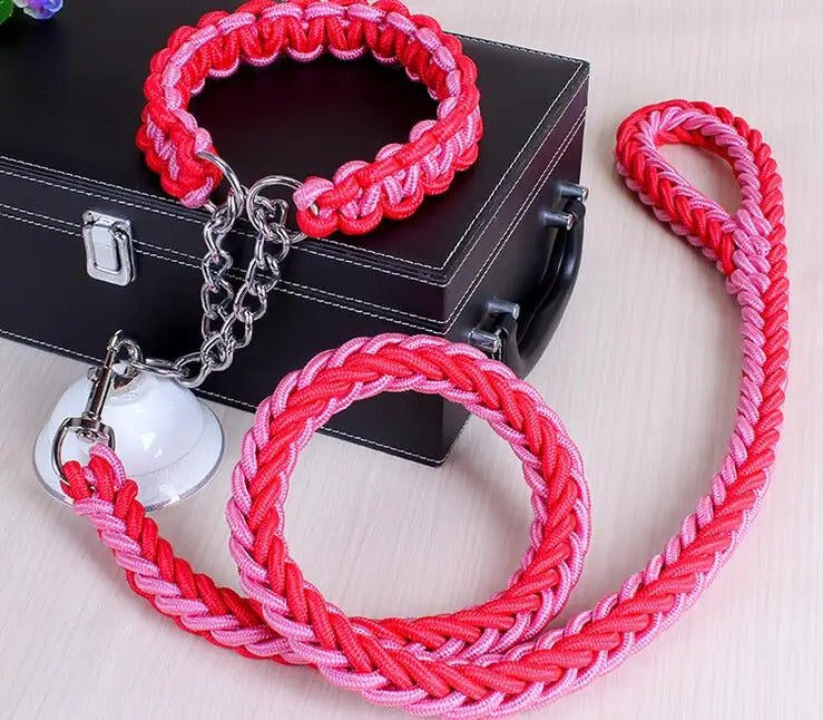 Durable Wire Collar & Lead for Large Dogs