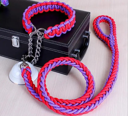 Durable Wire Collar & Lead for Large Dogs